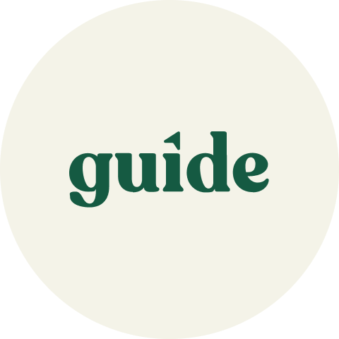 Logo Guide on cream background